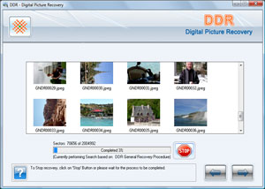 Digital Pictures Recovery Software Screenshot